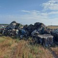 Roghi di rifiuti nell’agro di Trinitapoli, si attivano il coordinatore e la consigliera provinciale