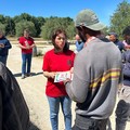 Caldo e operai agricoli a rischio, Flai Bat: «I sindaci che fanno? "»