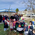 Giornata Nazionale dell’Albero, a Trinitapoli protagonisti alunni e docenti