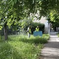 Manutenzione del verde pubblico e dei servizi cimiteriali a Trinitapoli