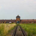 Trinitapoli ricorda la Shoah: le iniziative in città