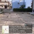 Intervento di bonifica e pulizia nel quartiere UNRRA CASAS