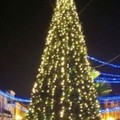 Natale a Trinitapoli: l'accensione del grande albero e delle luminarie