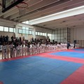 Taekwondo ITF, successo alla Tea Cup di Trinitapoli