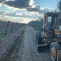 Lavori di sistemazione del tratturo in Contrada Grotte a Trinitapoli