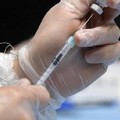 Vaccini anti-Covid, aggiornati i dati nella Bat