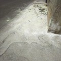 Sicurezza pubblica: a Trinitapoli vietato l'uso di veleni o sostanze tossiche non autorizzate