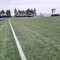 Foggia Calcio sceglie Trinitapoli come quartier generale per il ritiro precampionato