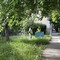 Manutenzione del verde pubblico e dei servizi cimiteriali a Trinitapoli