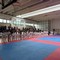 Taekwondo ITF, successo alla Tea Cup di Trinitapoli