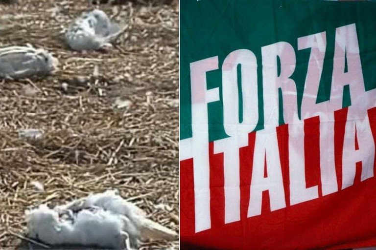 Sannicandro, Forza Italia Trinitapoli