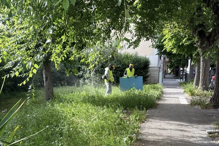 Manutenzione del verde pubblico e dei servizi cimiteriali a Trinitapoli