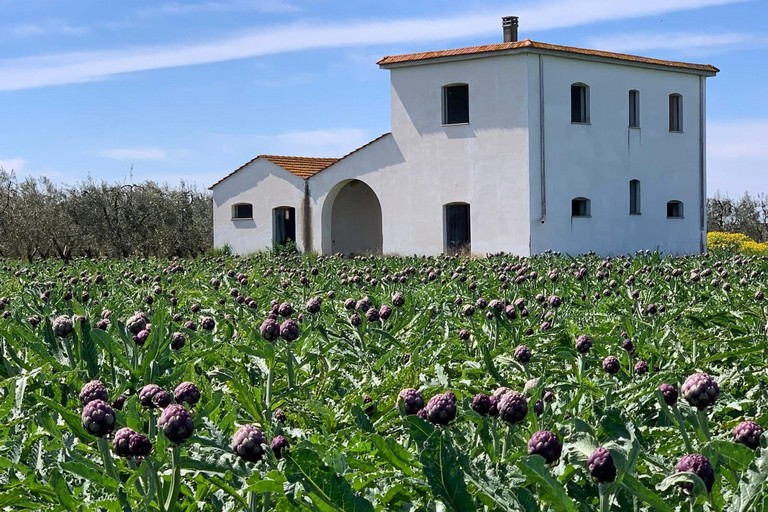La Regione Puglia stanzia 40 milioni di euro per le imprese agroalimentari: importante opportunità per gli agricoltori di Trinitapoli