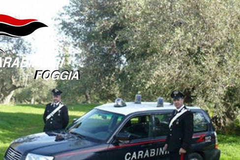 Carabinieri furto olive