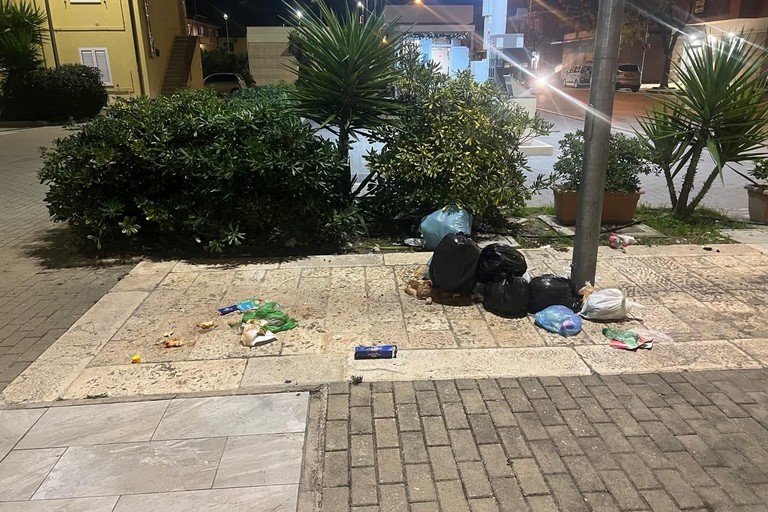 Sinistra italiana chiede chiarezza sulla raccolta dei rifiuti. <span>Foto Pagina Fb Sinistra Italiana Trinitapoli</span>